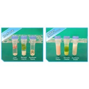 Benchmark BeadBlaster 24 Position Homogenizer