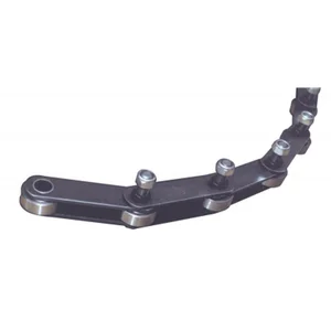 Conveyor Chain With Extended Pin