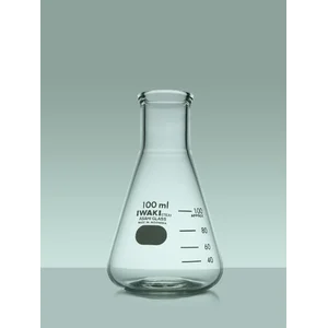 Erlenmeyer Flask Biasa