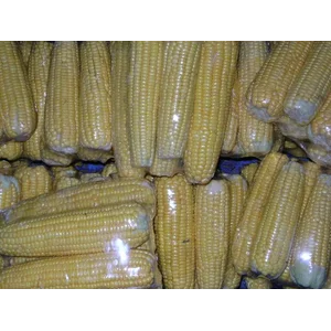 Jagung manis baret