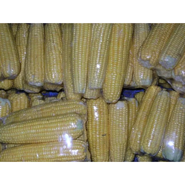 Jagung manis baret
