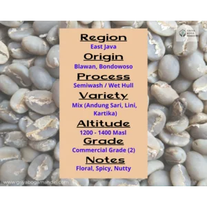 Arabica Green Bean Java IJEN