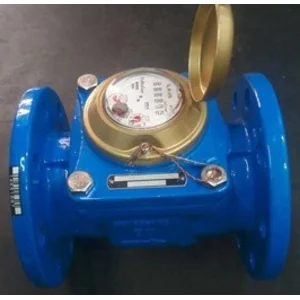 Powogaz Water Meter 2 Inch