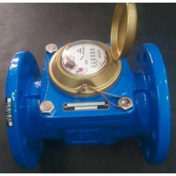 Powogaz Water Meter 2 Inch