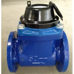 Water Meter IPM 2 Inch 50 mm