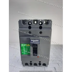  MCCB / Mold Case Circuit Breaker EZC100N25A Schneider 