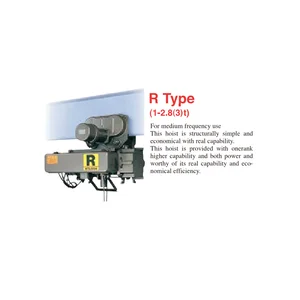 Electric hoist Crane Mitsubishi (0.5-60 ton)