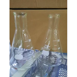 Erlenmeyer 300 ml Glass Iwaki