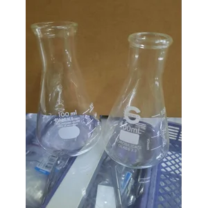 Erlenmeyer 100 ml Glass Iwaki