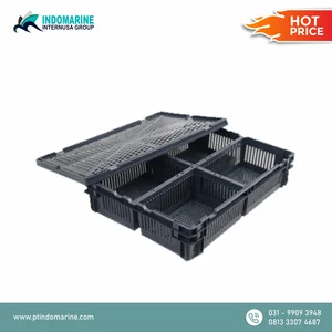 Keranjang Ayam Kotak Plastik Ayam 
