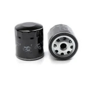 Oil Filter Kaeser 6.1985.0