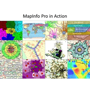 Software Gps - Mapinfo Professional - Software Gis