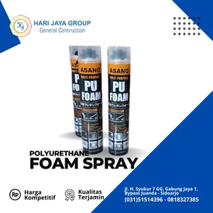 ASANO Polyurethane Foam 750 ml 