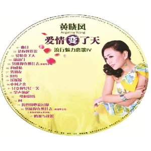 VCD angelina wong
