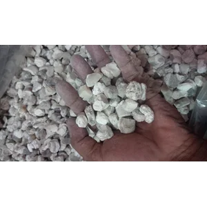 Bigar Bambu / Tabasheer kapur buluh kualitas terbaik