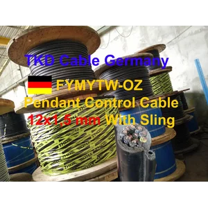 12 x 1.5 mm cable hoists control pendant with sling
