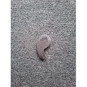 KOMA DAN RUMAH PENGAIT KUNCI PINTU BOX KAROSERI - SILVER/CA