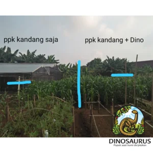  Pupuk Pembenah Tanah Organik Hayati Cair Dinosaurus Mikroba Tanah