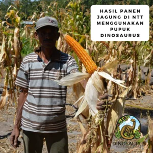  Pupuk Pembenah Tanah Organik Hayati Cair Dinosaurus Mikroba Tanah