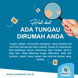 Bersihkan Tungau di Rumah Anda | WEKLIN.ID By Berdikari Tunggal Perkasa (CuciBersih)