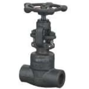 Globe  Valve Forged Bonney Forge