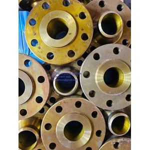 WELD NECK FLANGE 3" #900