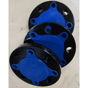 FLANGE SLIP ON 2" #300 CHINA