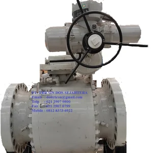 BALL VALVE TRUNION KITZ GLT 
