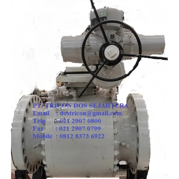 BALL VALVE TRUNION KITZ GLT 