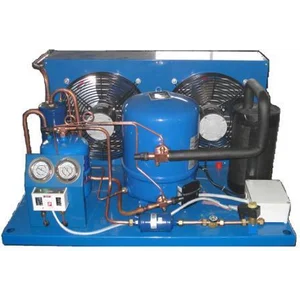 Kompresor Ac Maneurope Danfoss