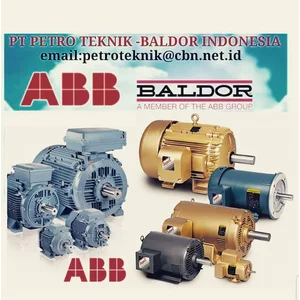 PT PETRO ABB BALDOR Abb High Voltage Induction Motor Dinamo