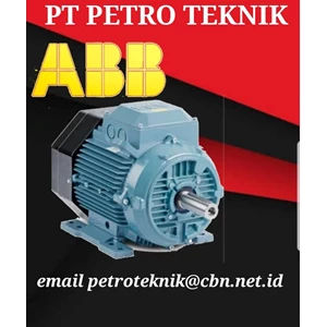 ABB ELECTRIC MOTOR - PT PETRO TEKNIK