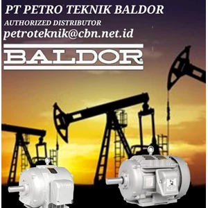 ABB GROUP AGENT BALDOR PT PETRO TEKNIK Electric Motor Baldor 5