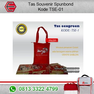 Bag PP Souvenir Bags TSE-01 Code