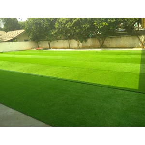 Artificial Grass 30 Mm