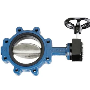 Butterfly Valve 5 inch termurah