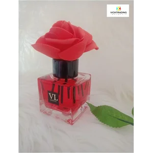 Reed Diffuser Vl Parfum Mobil Aksesoris Mobil 50Ml