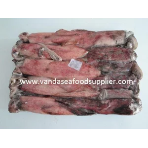 Cumi Utuh Mentah Segar Seafood