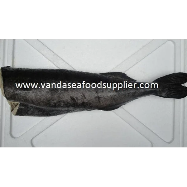 Ikan Gindara Import