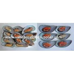 Kerang Hijau Lokal