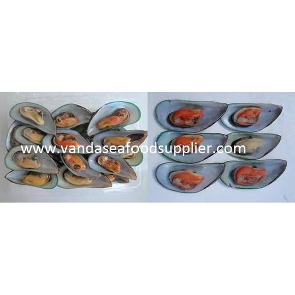 Kerang Hijau Lokal
