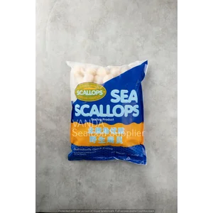 Kerang Scallop Segar US Seafood