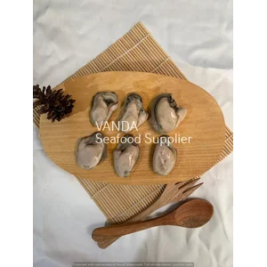 Tiram / oyster Beku @ 1kg
