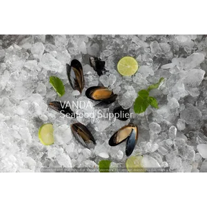 Black Mussels / kerang Hitam @ 454gr