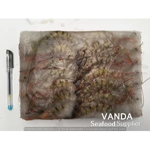 Udang Utuh Windu/ Api / Pancet