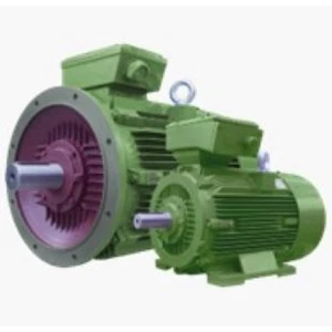 Dinamo Electric Motor WE Series 50Hz 4P IE2 High Efficiency Motors