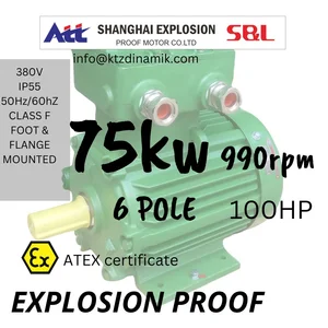 Electric Motor Explosion Proof Motor 6Pole 75Kw 100Hp 380V 50Hz EP Series Shanghai Exproof