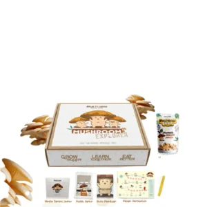 Tanaman Hias Jamur Mushroom Explorer