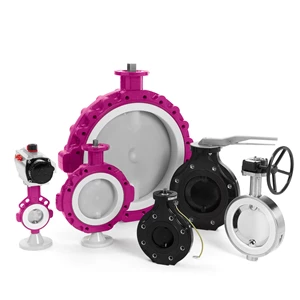 Butterfly Valve DN50 - 1050 PN10 PTFE Coated