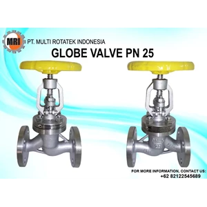 Globe Valve SS304 PN25